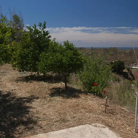 Finca Los Quinteros Velez Malaga